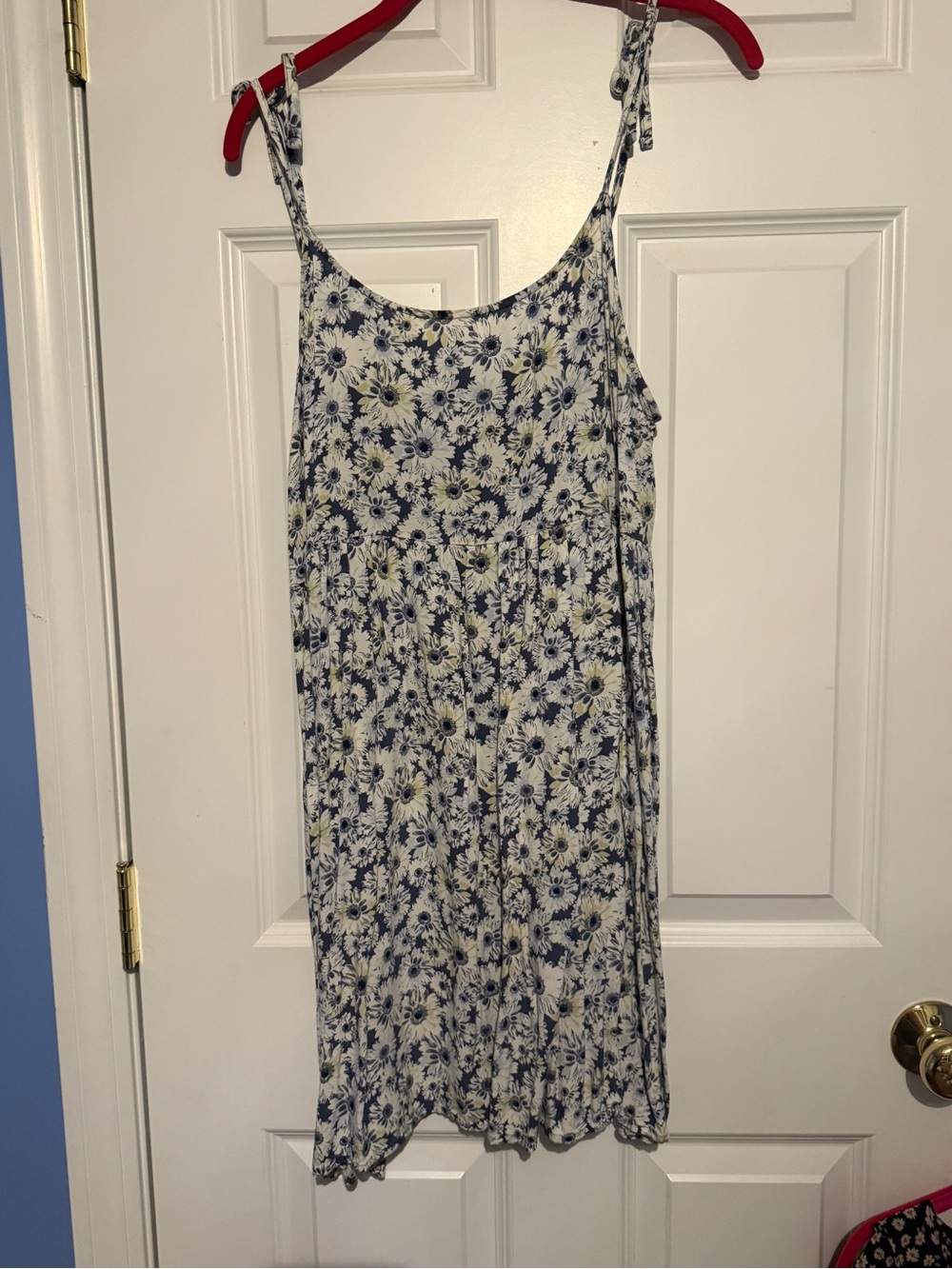 Blue with daisies sundress